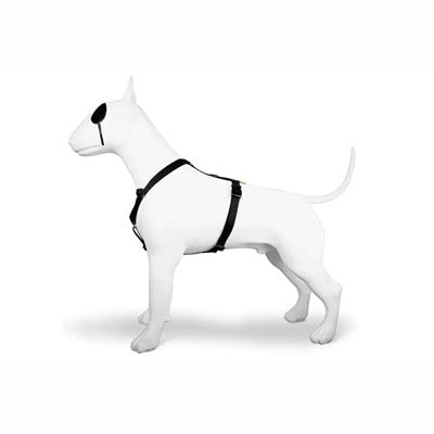 Morso Hundegeschirr H-Rig Recyceltes Gold Kaviar Gold