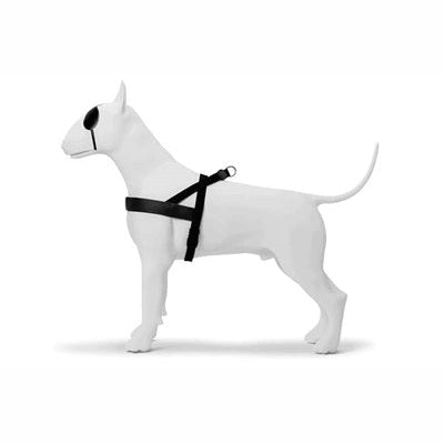 Morso Norwegisches Hundegeschirr Recycelte Reinheit Schwarz