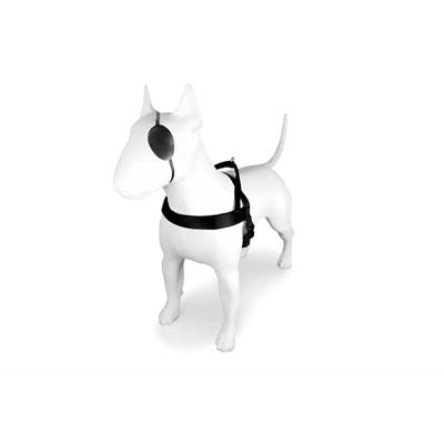 Morso Norwegisches Hundegeschirr Recycelte Reinheit Schwarz