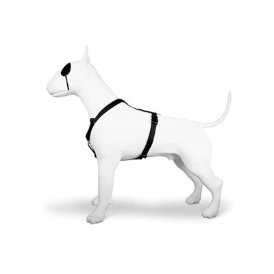 Morso Hundegeschirr H-Leine Recycelt Reinheit Schwarz