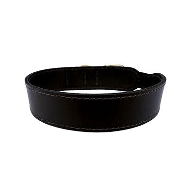 Sazzz Hundehalsband Pioneer Classic Leder Dunkelbraun