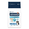 Advance Vorlauf Maxi-Licht