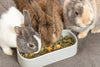 Trixie Futter-/Trinkschale Oval Keramik Sortiert