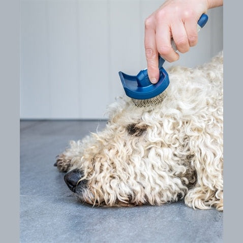 Mikki Doodle Slicker Pinsel