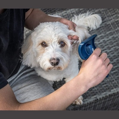 Mikki Doodle-Pflegeset Mit Kamm Und Slicker-Bürste