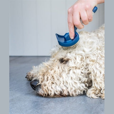 Mikki Doodle-Pflegeset Mit Kamm Und Slicker-Bürste