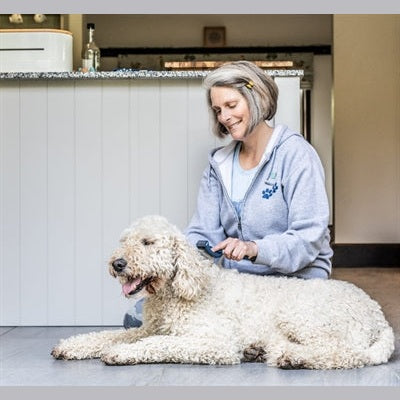 Mikki Doodle-Pflegeset Mit Kamm Und Slicker-Bürste