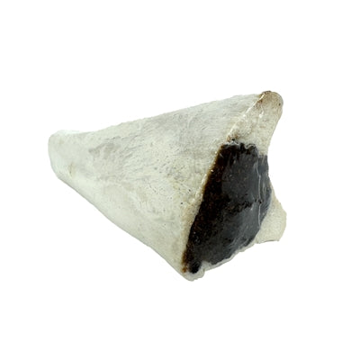 I Am Markknochen Weiss Mit Pastete