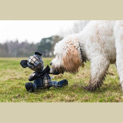 Rosewood Heidelbeere Bär Kariert Blau