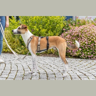 Trixie Panikadapter Steg Für Gurtzeuge Schwarz