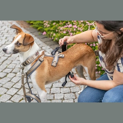 Trixie Panikadapter Steg Für Gurtzeuge Schwarz