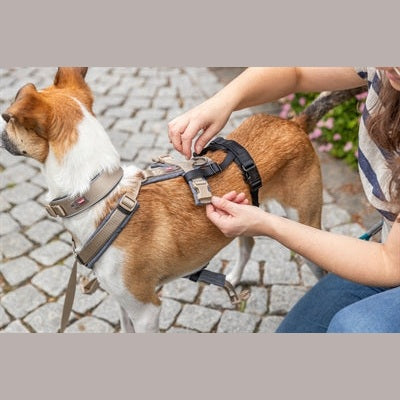 Trixie Panikadapter Steg Für Gurtzeuge Schwarz