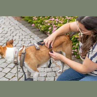 Trixie Panikadapter Steg Für Gurtzeuge Schwarz