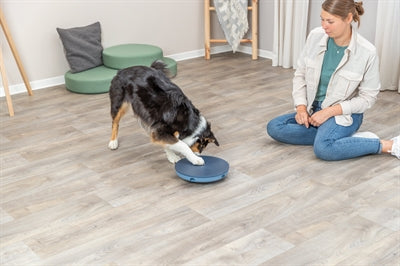 Trixie Hund Aktivität Schaukel Labyrinth Kunststoff