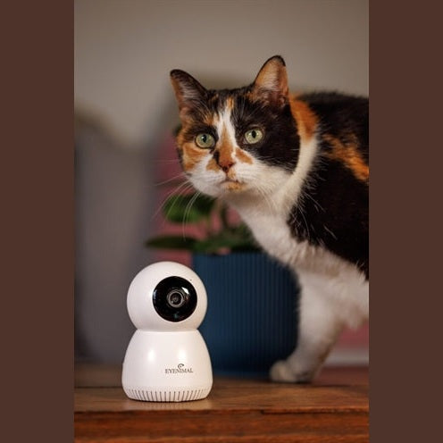 Numaxes Eyenimal Pet Vision Live Hd Kamera Ohne Geräuscherkennung